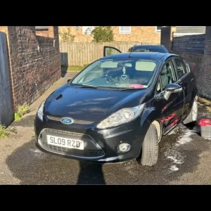 2009 Ford Fiesta Hatchback Manual 5-door