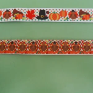 Thanksgiving ribbon