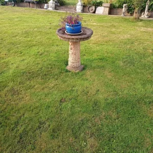 Concrete bird table - Image 2