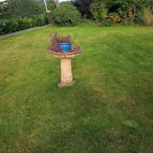 Concrete bird table