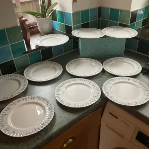 Bone china dinner plates - Image 2