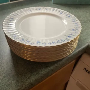 Bone china dinner plates - Image 3