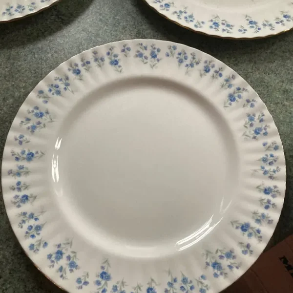 Bone china dinner plates