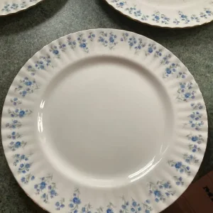 Bone china dinner plates