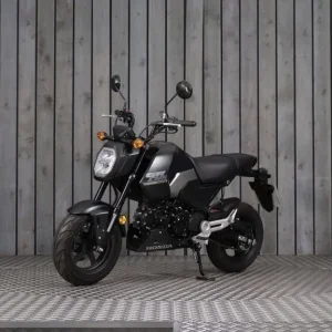 2024 Honda MSX125 Black - Image 2