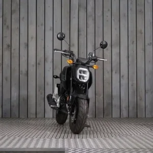 2024 Honda MSX125 Black - Image 6