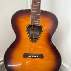 Gretsch historic series g3205 - Image 5