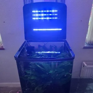 Fish tank - Image 2