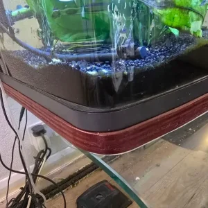 Fish tank - Image 3