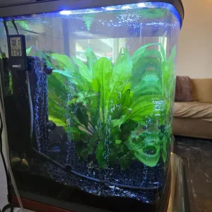 Fish tank - Image 4
