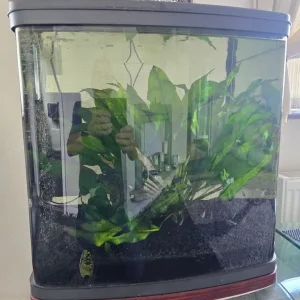 Fish tank - Image 5