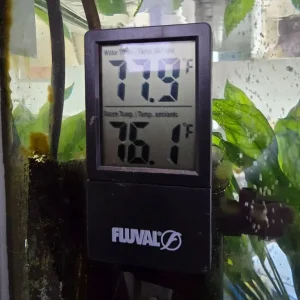 Fish tank - Image 6
