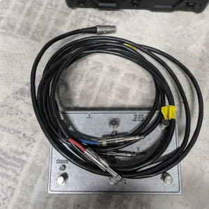 Roland Cube 80xl with Bright Onions pedal - Image 6