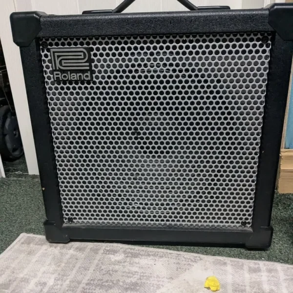 Roland Cube 80xl with Bright Onions pedal