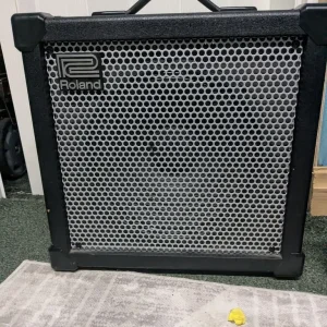 Roland Cube 80xl with Bright Onions pedal