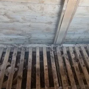 Log store - Image 3