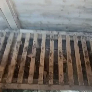 Log store - Image 4