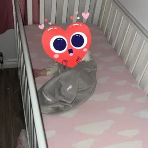 Cot bed