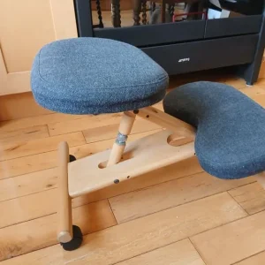 Ergonomic desk chair