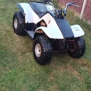 Yamaha Breeze 125 quad bike