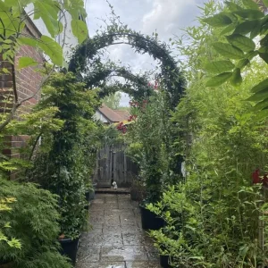 Evergreen and Fragranced Jasmine Arches - Image 3