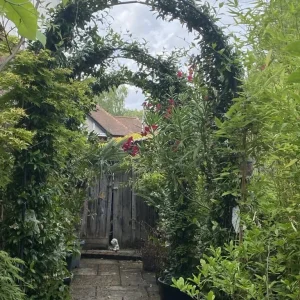 Evergreen and Fragranced Jasmine Arches