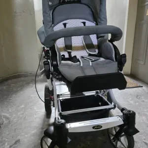 Buggy leg broken