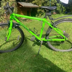 Frog bike 73