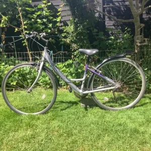 Raleigh Pioneer Metro 15” bike - Image 3