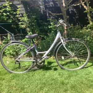 Raleigh Pioneer Metro 15” bike