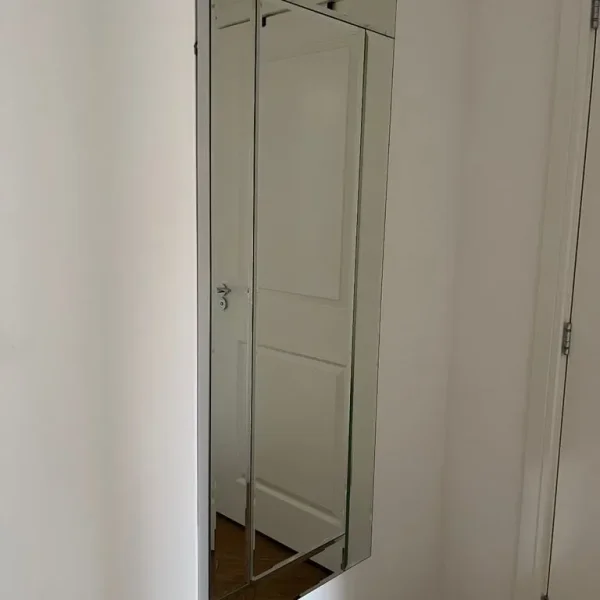 Long mirror