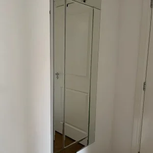 Long mirror