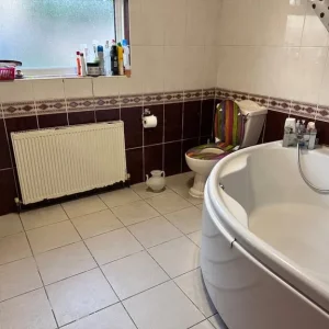 Double room available to share (females) - Image 3