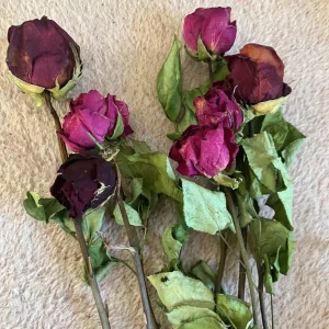 Flower arranging tray with corkscrew hazel and dried flowers - Image 2