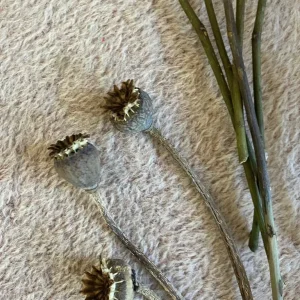 Flower arranging tray with corkscrew hazel and dried flowers - Image 4