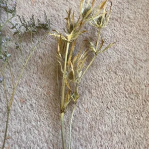 Flower arranging tray with corkscrew hazel and dried flowers - Image 6