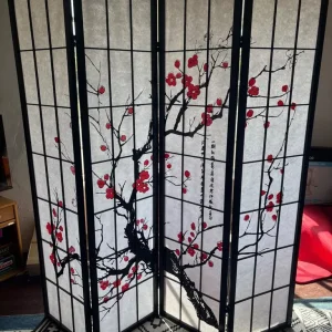 Japanese Partition