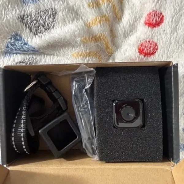 Cat cam collar with USB download