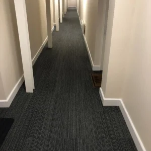 Best Quality Carpet