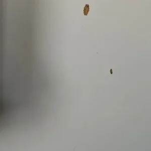 Trotten IKEA desk - Image 3