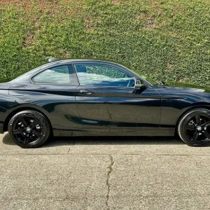 2017 BMW 2 Series 218i Sport Coupe Manual - Image 6