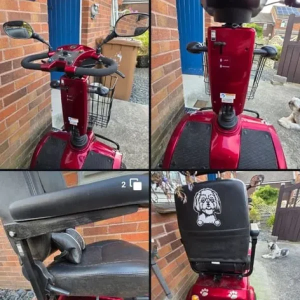 RASCEL PIONEER Mobility Scooter