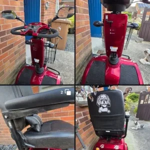 RASCEL PIONEER Mobility Scooter