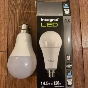 White Light Bulb