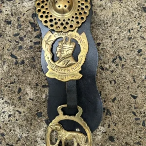 2 horse brasses