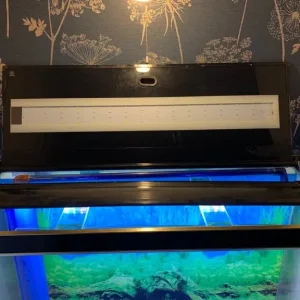 Aquarium with sump and cabinet 296 litres - Image 7