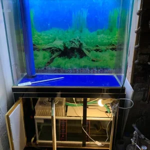 Aquarium with sump and cabinet 296 litres