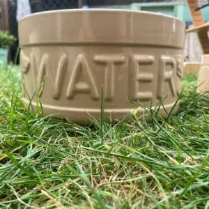 Food and water bowls - Image 2