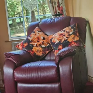 3 1 1 burgundy and wine leather sofa - Image 7
