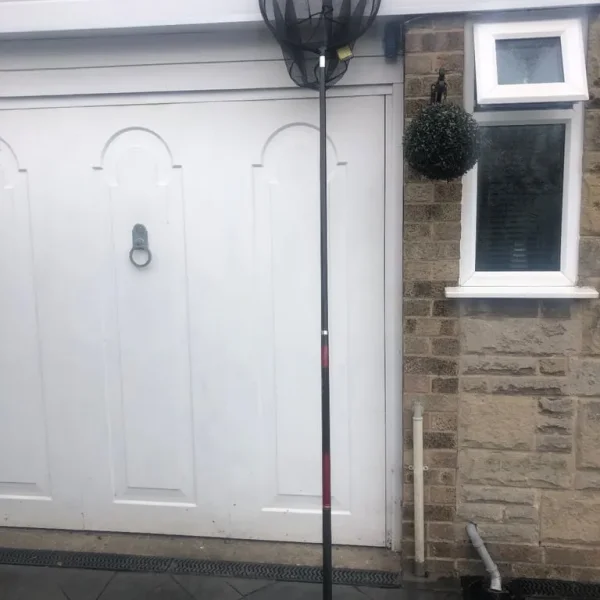 Landing net and pole